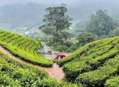 7 Nights - 8 Days Ooty Tour Package