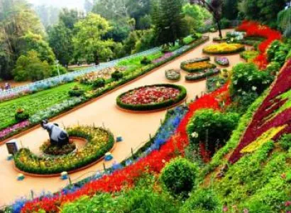 3N - 4D Ooty Tour Package