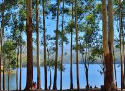 Munnar Hill Station Tour 2 Nights - 3 Days