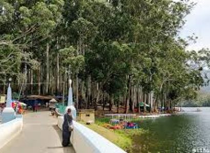 Munnar - Alappuzha And Kochi Tour 5 Nights - 6 Days