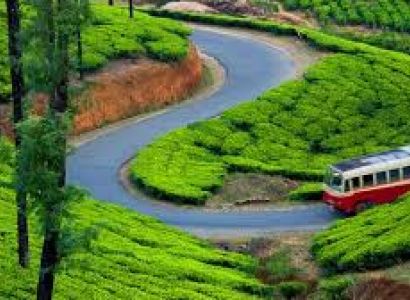 Munnar - Alappuzha And Kochi Tour 5 Nights - 6 Days