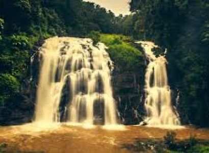 Wayanad - Ooty - Coorg And Mysore Grand Tour 6 Nights 7 Days