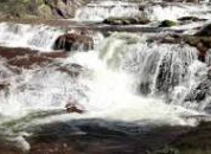 Wayanad - Ooty - Coorg And Mysore Grand Tour 6 Nights 7 Days