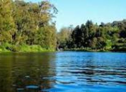 Wayanad - Ooty - Coorg And Mysore Grand Tour 6 Nights 7 Days