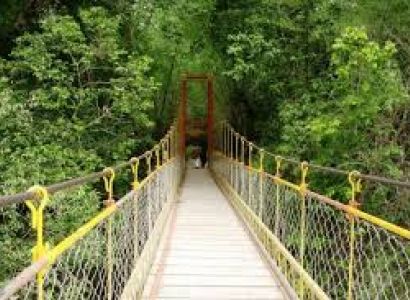 Wayanad - Coorg And Ooty Escape 5 Nights - 6 Days Tour