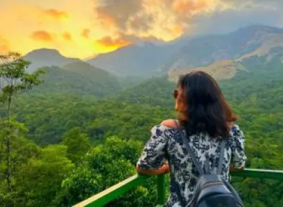 Wayanad Getaway 1 Night - 2 Days Tour