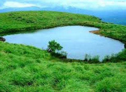 Wayanad and Ooty Tour 3 Nights - 4 Days
