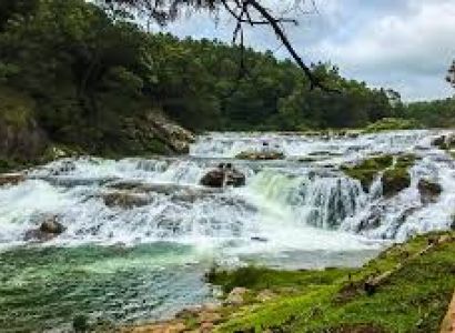 Wayanad and Ooty Tour 3 Nights - 4 Days