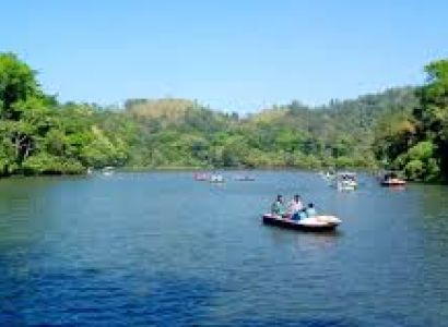 Wayanad Getaway 1 Night - 2 Days Tour