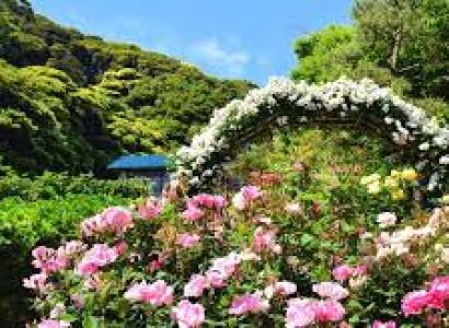 2 Nights 3 Days Ooty Tour Package