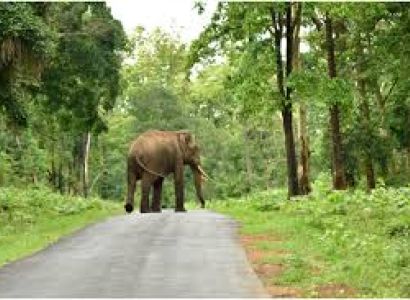 EXCLUSIVE WAYANAD LUXURY ESCAPE