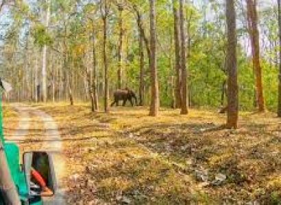 EXCLUSIVE WAYANAD LUXURY ESCAPE