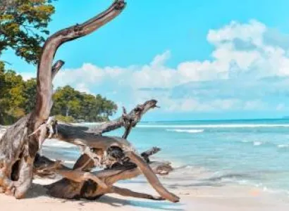 3 Nights And 4 Days Andaman Tour