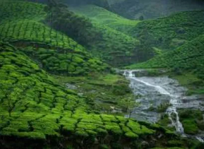 2N/3D Munnar Tour Package
