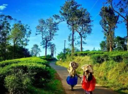 Wayanad Tour Package for Couples 2 Nights 3 Days