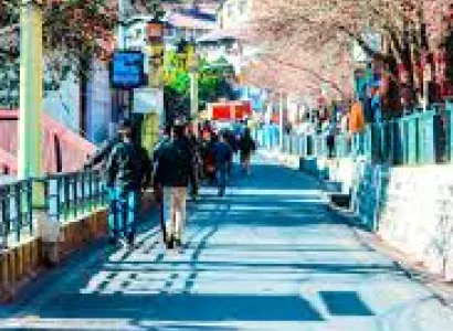 Ranikhet Tour Packages