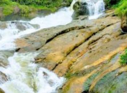 Thekkady Tour Packages