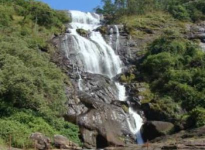 Thekkady Tour Packages