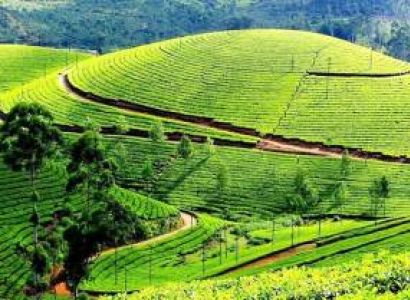 Kerala Package Munnar - Alleppey 3 Nights 4 Days