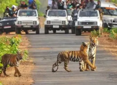 2N 3D Jim Corbet Tour Package