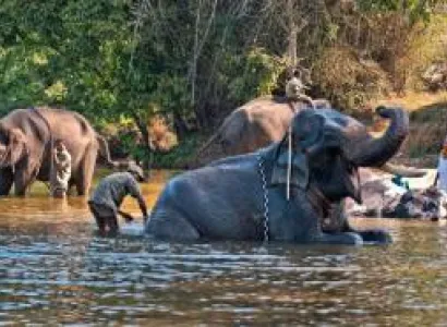 Karnataka Heritage - Hill Tour 6D - 5N