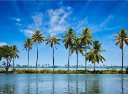 Thekkady Tour Packages