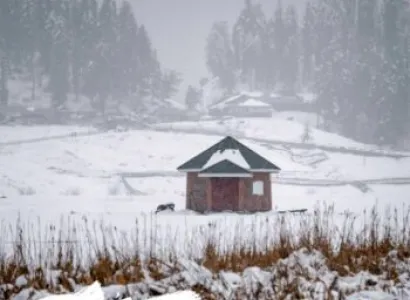 Kashmir Tour 5 Nights 6 Days