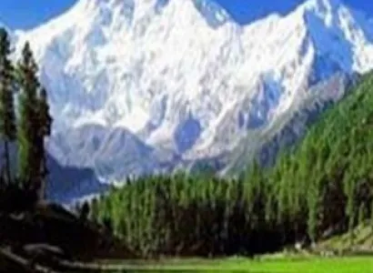 Jannat E Kashmir 07 Nights And 08 Days Tour