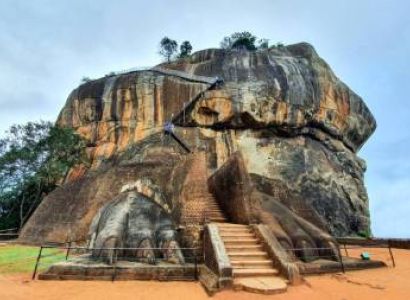 Sri Lanka Safari Tour - Discover Wildlife And Cultural Wonders