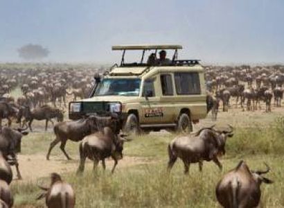 5 Days Fly In For Great Migration In Northern Serengeti And Ngorongoro Crater Tour