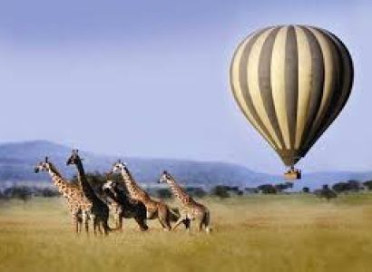 7-Day Honeymoon Bliss: Luxury Safari & Zanzibar Island Escape