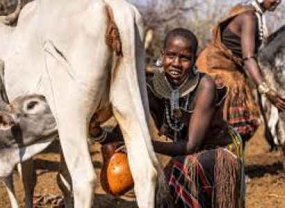 4-Day Amazing Tanzania Wildlife & Cultural Experience Safari