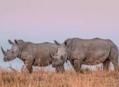 4-Day Amazing Tanzania Wildlife & Cultural Experience Safari