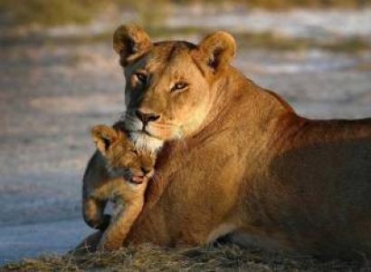 Tarangire & Ngorongoro in 2 Days – Departing from Zanzibar