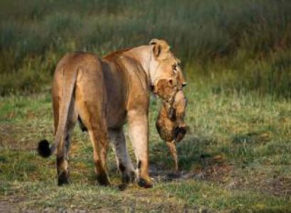 Tarangire & Ngorongoro in 2 Days – Departing from Zanzibar