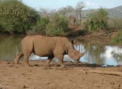 Tarangire & Ngorongoro in 2 Days – Departing from Zanzibar