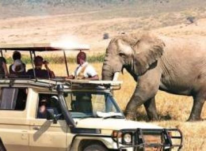 Unforgettable 8-Day Halal-Friendly Safari in Tanzania