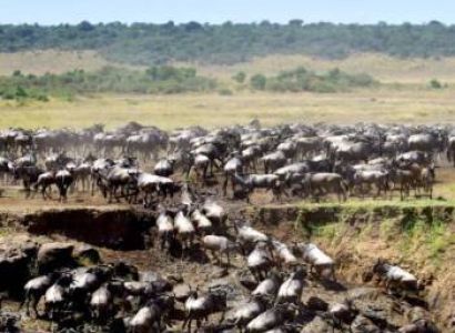 Unforgettable 8-Day Halal-Friendly Safari in Tanzania