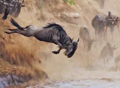 Unforgettable 8-Day Halal-Friendly Safari in Tanzania