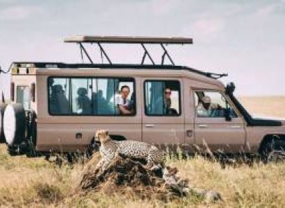 Unforgettable 8-Day Halal-Friendly Safari in Tanzania