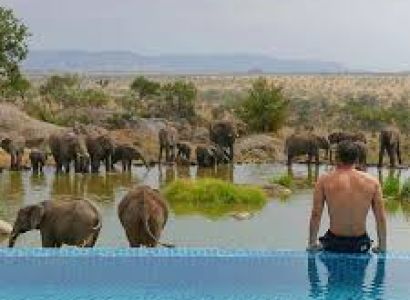 Unforgettable 8-Day Halal-Friendly Safari in Tanzania