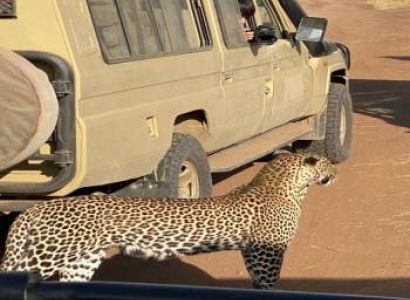 6-day Bird-watching Safari in Tanzania