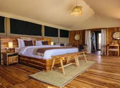 6-day Bird-watching Safari in Tanzania