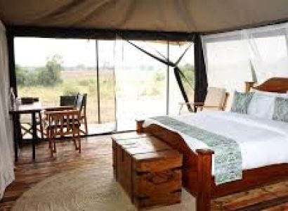 4 Days | Fly-In Safari from Zanzibar to Witness the Great Migration