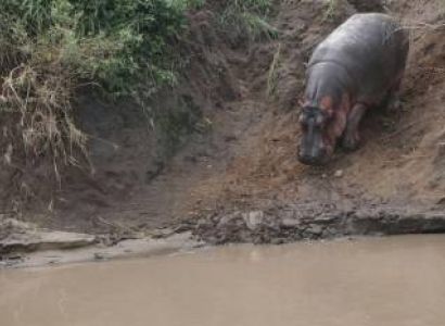 3 – Day from Zanzibar to Tarangire, Ngorongoro & Manyara