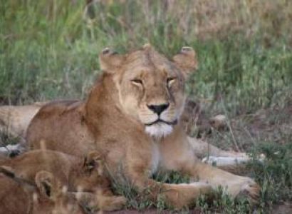 3 – Day from Zanzibar to Tarangire, Ngorongoro & Manyara