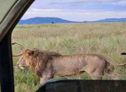 3 – Day from Zanzibar to Tarangire, Ngorongoro & Manyara