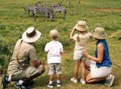 2-Day Fly-in Safari from Zanzibar to Serengeti & Ngorongoro Crater