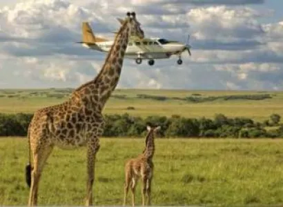 2-Day Fly-in Safari from Zanzibar to Serengeti & Ngorongoro Crater