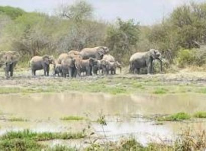 2-Day Tarangire & Ngorongoro Safari from Zanzibar